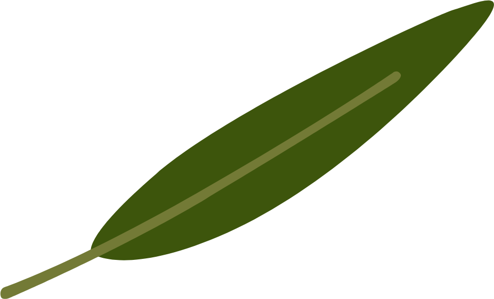 California Bay Icon