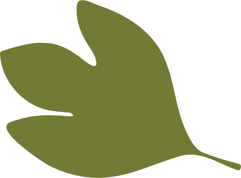 Sassafras Icon